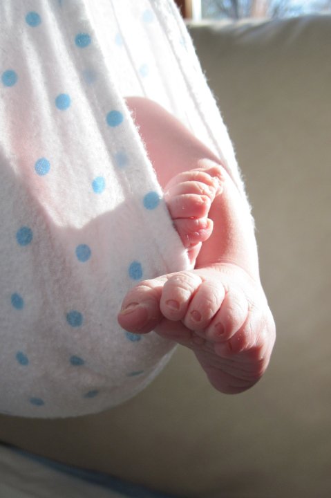 Frequently Asked Questions