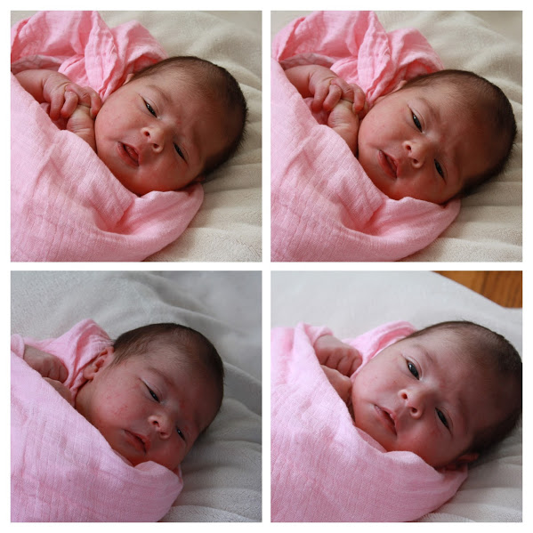 Talitha 2-27-15 288-MIX