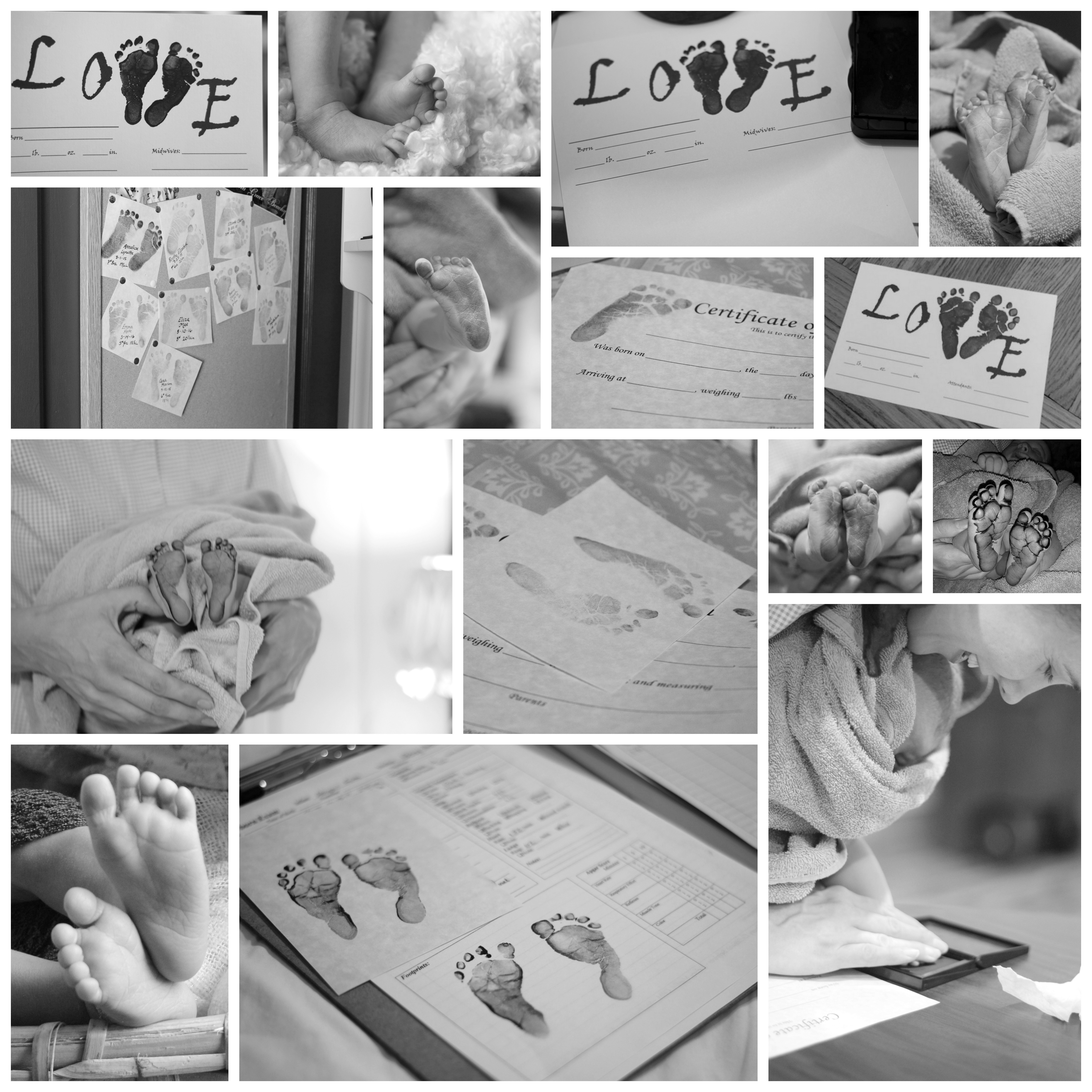 Recently Updated4.jpg