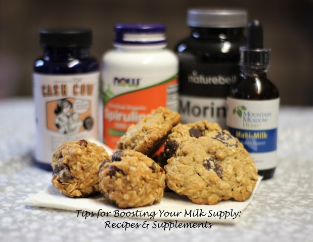 Tips for Boosting Your Milk Supply: Recipes &&nbsp;Supplements