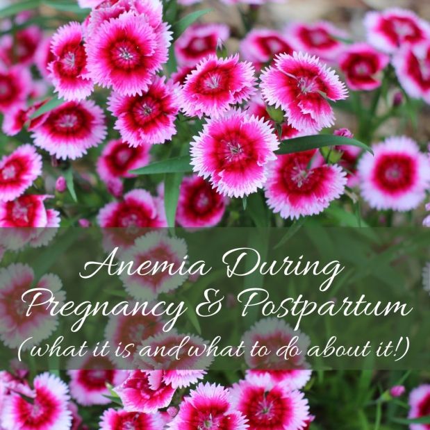 Anemia During Pregnancy & Postpartum: what it is & what to do about&nbsp;it