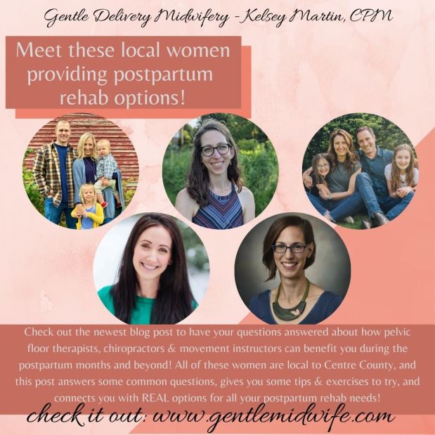 Postpartum Rehab: Local Options, Tips, Introductions &&nbsp;Info!